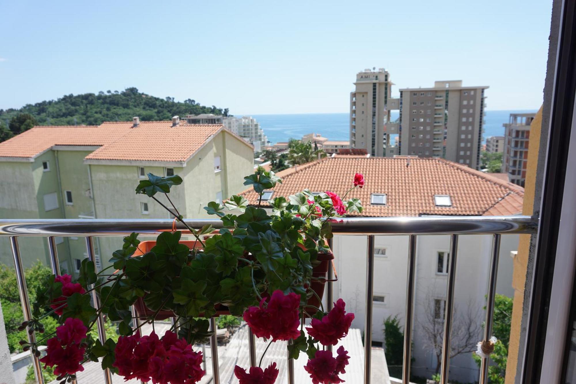 Vila Lena Petrovac Rom bilde